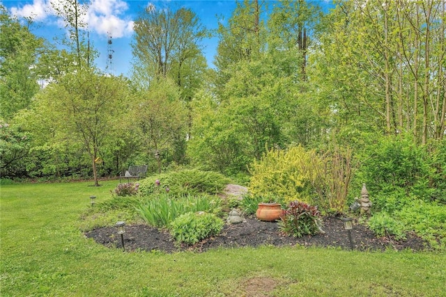 1338 Summit Rd, Foster Town, PA 16744 - view of grassy yard
