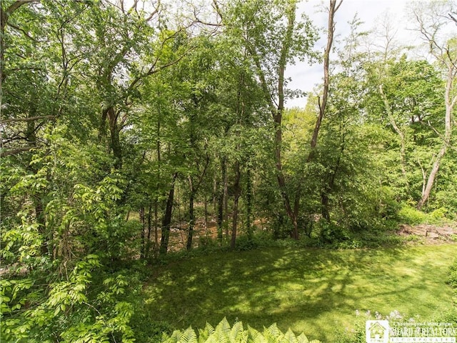 285 Porter Rd, Pomfret, NY 14063 - view of woods