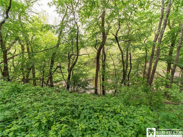 285 Porter Rd, Pomfret, NY 14063 - view of tree filled area