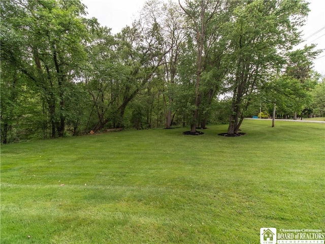 285 Porter Rd, Pomfret, NY 14063 - view of grassy yard