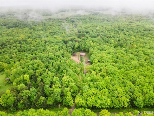 12353 Planck Rd, Perrysburg, NY 14129 - bird's eye view of a forest