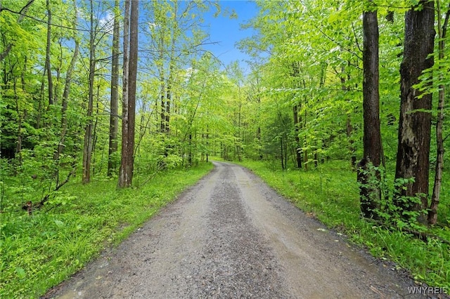 12353 Planck Rd, Perrysburg, NY 14129 - view of road with a view of trees