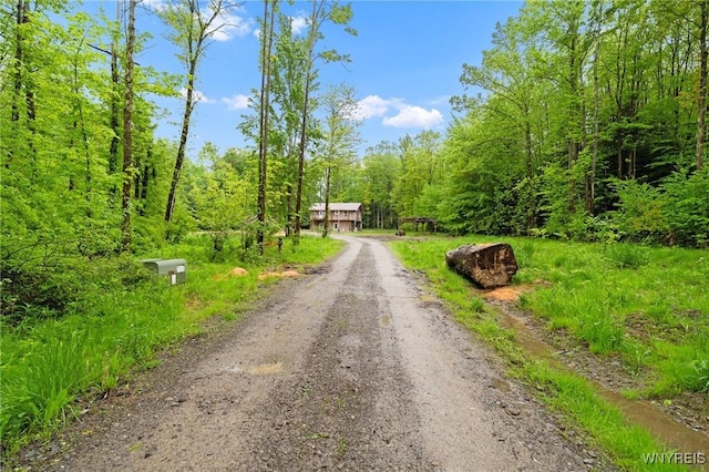 12353 Planck Rd, Perrysburg, NY 14129 - view of dirt / gravel driveway featuring a wooded view