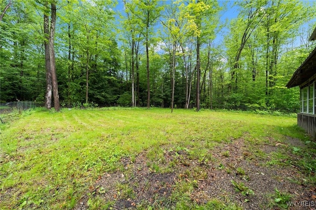12353 Planck Rd, Perrysburg, NY 14129 - view of yard