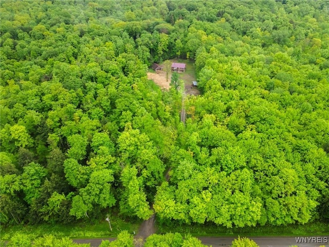 12353 Planck Rd, Perrysburg, NY 14129 - drone / aerial view of a forest