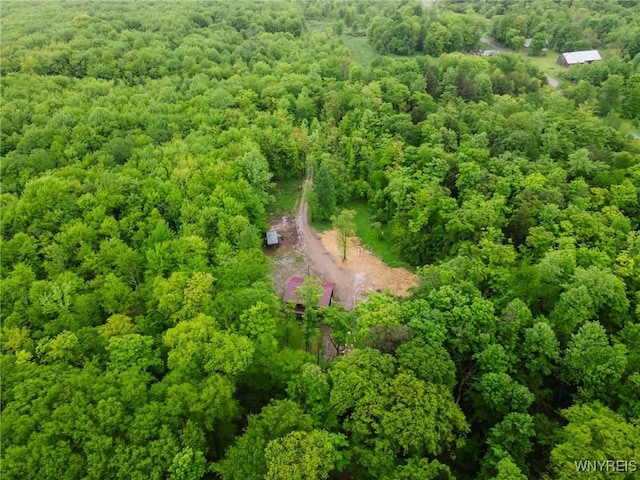 12353 Planck Rd, Perrysburg, NY 14129 - drone / aerial view of a forest