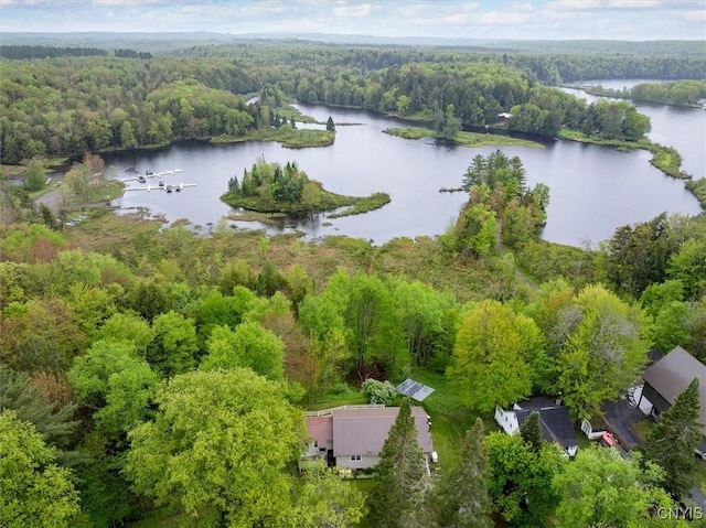4064 Kayuta Ter, Forestport, NY 13438 - bird's eye view of a heavily wooded area and a large body of water