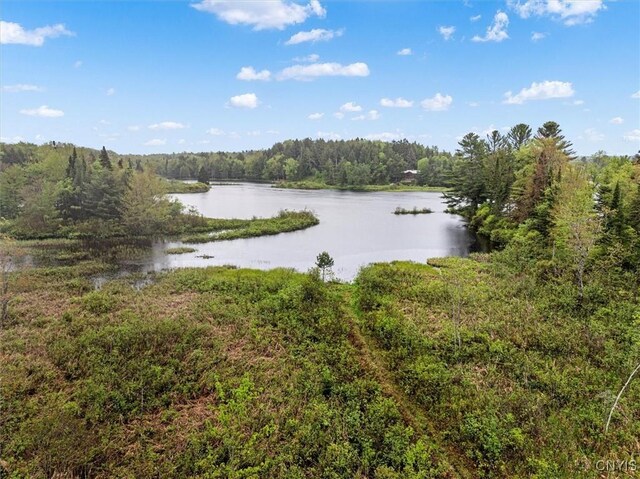 4064 Kayuta Ter, Forestport, NY 13438 - water view featuring a forest