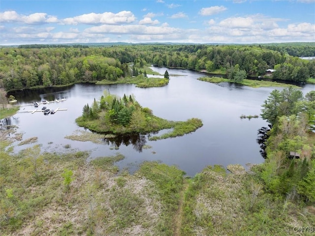 4064 Kayuta Ter, Forestport, NY 13438 - water view featuring a heavily wooded area