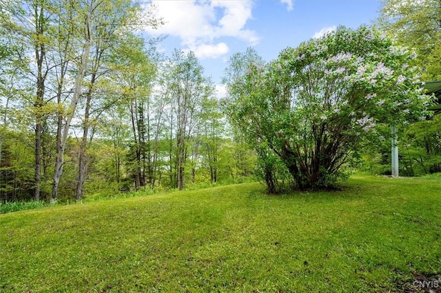 4064 Kayuta Ter, Forestport, NY 13438 - view of green lawn