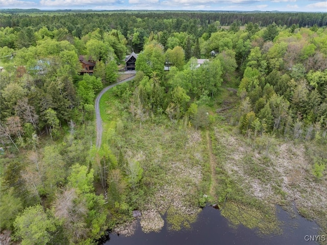 4064 Kayuta Ter, Forestport, NY 13438 - aerial overview of property's location featuring a heavily wooded area and a nearby body of water