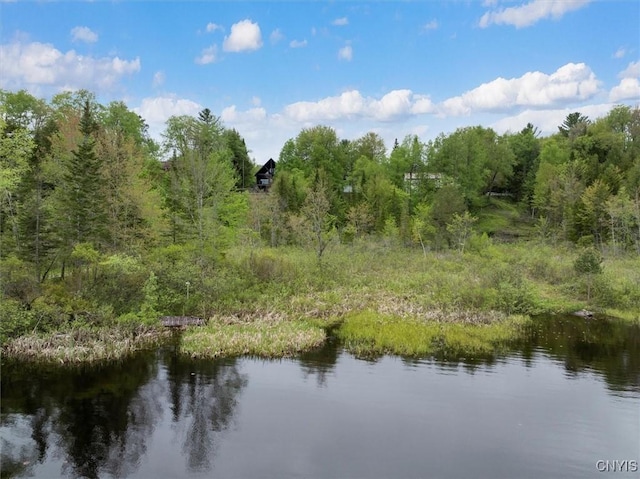 4064 Kayuta Ter, Forestport, NY 13438 - water view with a forest