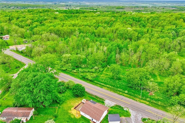 6608 Scenery Pl, Conesus, NY 14435 - bird's eye view of a heavily wooded area