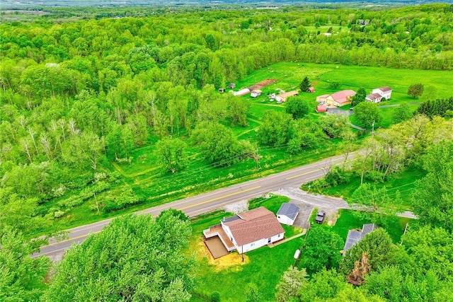 6608 Scenery Pl, Conesus, NY 14435 - drone / aerial view of a forest