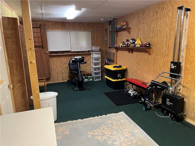 3259 Freer Hollow Rd, Franklin, NY 13856 - workout area featuring wood walls and carpet floors
