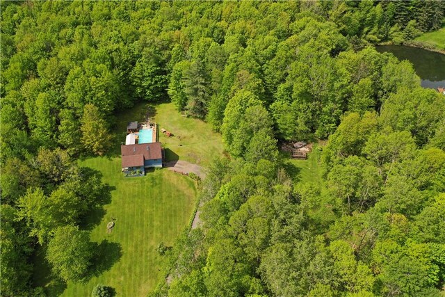 3259 Freer Hollow Rd, Franklin, NY 13856 - photo 47