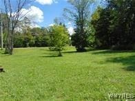 7423 Hayes Hollow Rd, Colden, NY 14170