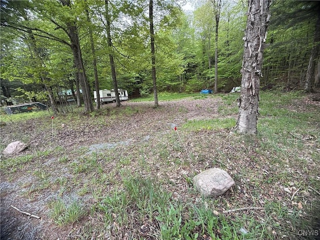 Rt-28, Forestport, NY 13338