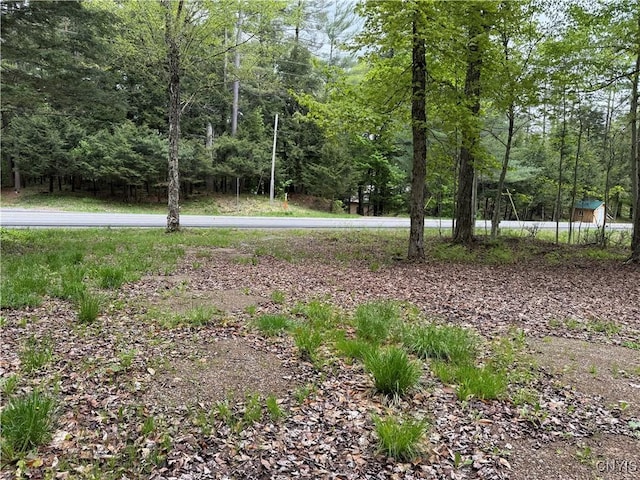 Rt-28, Forestport, NY 13338