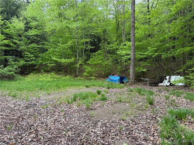 Rt-28, Forestport, NY 13338