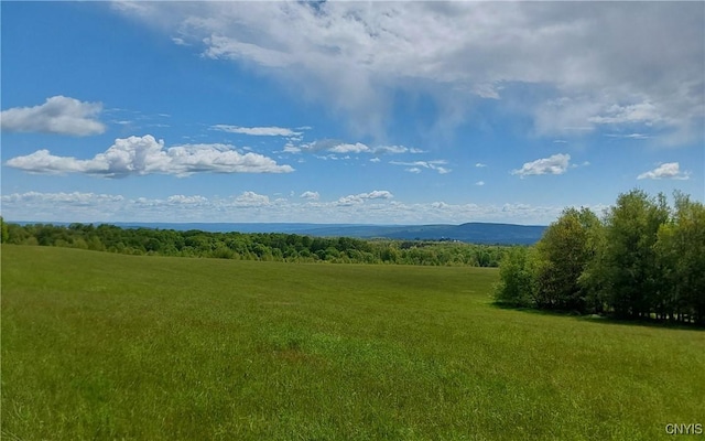 2007 Dairy Hill Rd, Norway, NY 13416