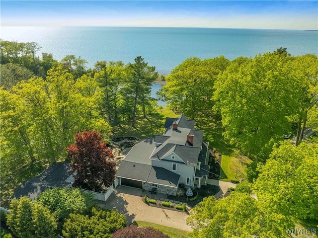 1225 W Arnold Dr, Hamburg, NY 14085 - view from above of property featuring a large body of water