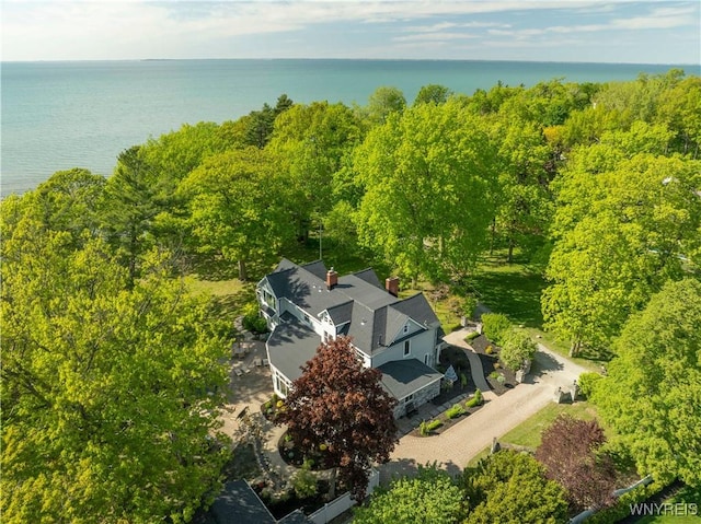 1225 W Arnold Dr, Hamburg, NY 14085 - view from above of property featuring a large body of water