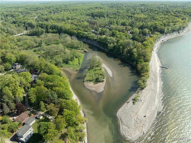 1225 W Arnold Dr, Hamburg, NY 14085 - aerial view of property and surrounding area featuring a forest and a nearby body of water