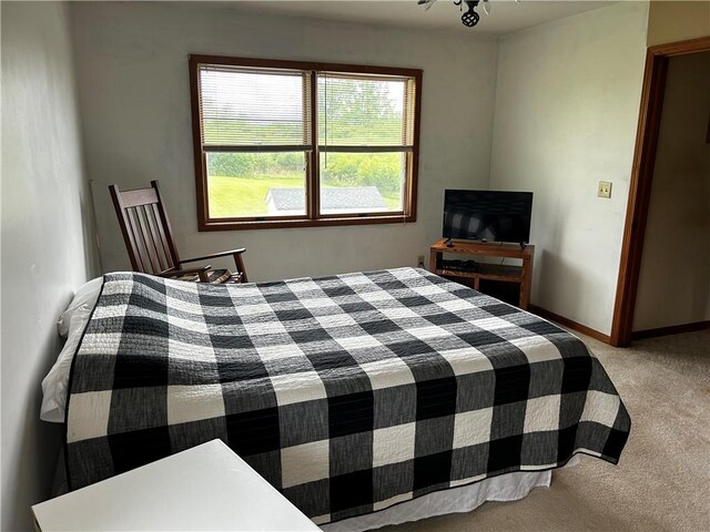 5461 Mobbs Rd, Fleming, NY 13021 - photo 22