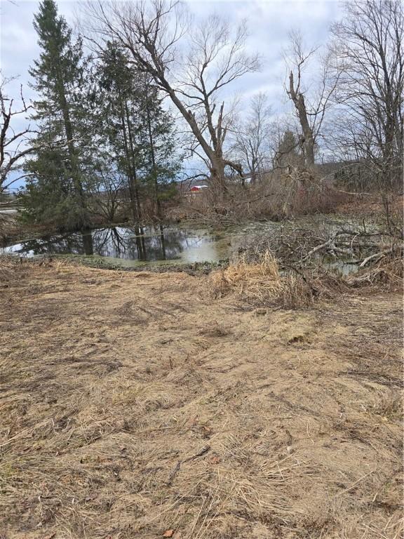 105 County Road 47, Pharsalia, NY 13815
