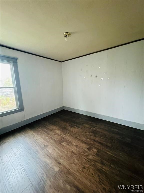 239 Rodney Ave, Buffalo, NY 14214 - photo 19