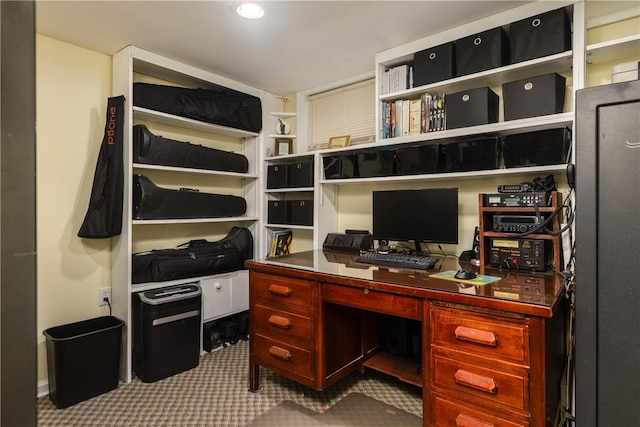 61 Brookside Cir, Big Flats, NY 14903 - view of carpeted office space