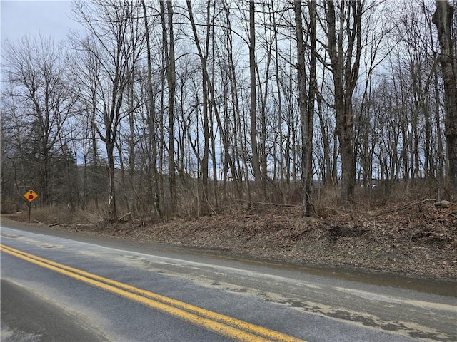 137 County Road 47, Pharsalia, NY 13815