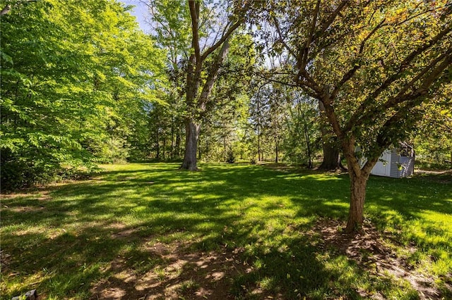 126 True Hickory Dr, Greece, NY 14615 - view of green lawn