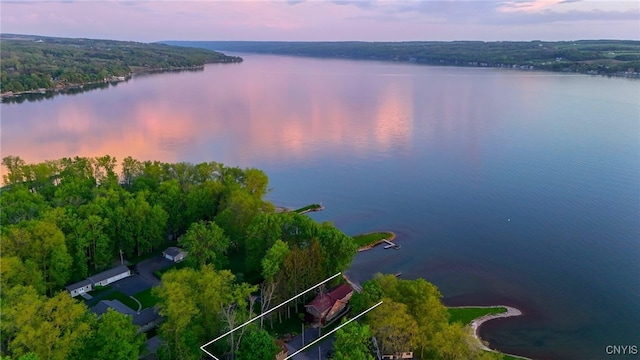 97 Burtis Point Rd, Owasco, NY 13021 - aerial view of a large body of water and a heavily wooded area