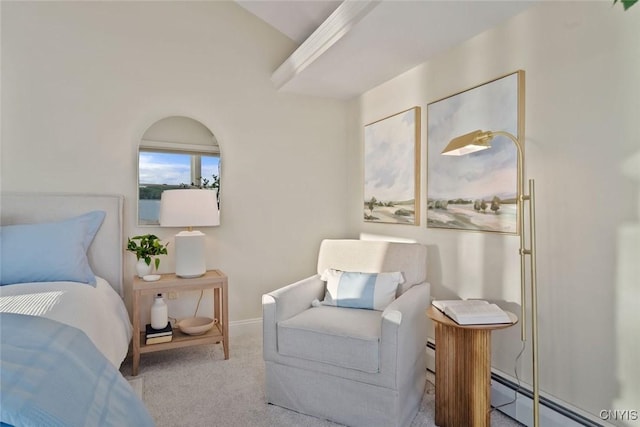97 Burtis Point Rd, Owasco, NY 13021 - carpeted bedroom featuring a baseboard radiator and baseboards