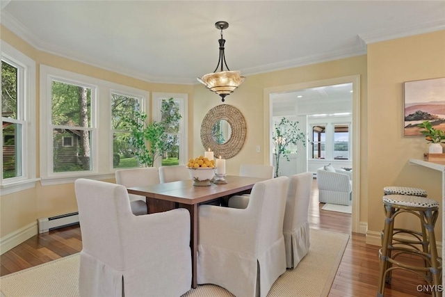 97 Burtis Point Rd, Owasco, NY 13021 - dining area with baseboard heating, light wood finished floors, plenty of natural light, and crown molding