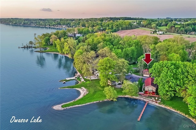 97 Burtis Point Rd, Owasco, NY 13021 - bird's eye view of a large body of water