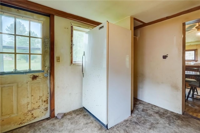 16 Welch Ave, Hamlin, NY 14470 - entryway featuring healthy amount of natural light, ceiling fan, and light carpet