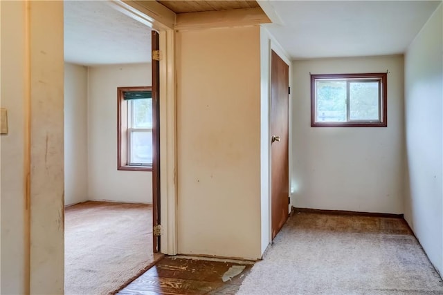 16 Welch Ave, Hamlin, NY 14470 - hallway with carpet flooring and plenty of natural light
