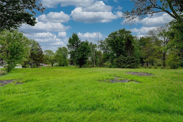 16 Welch Ave, Hamlin, NY 14470 - view of yard