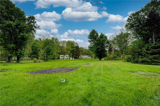 16 Welch Ave, Hamlin, NY 14470 - view of yard