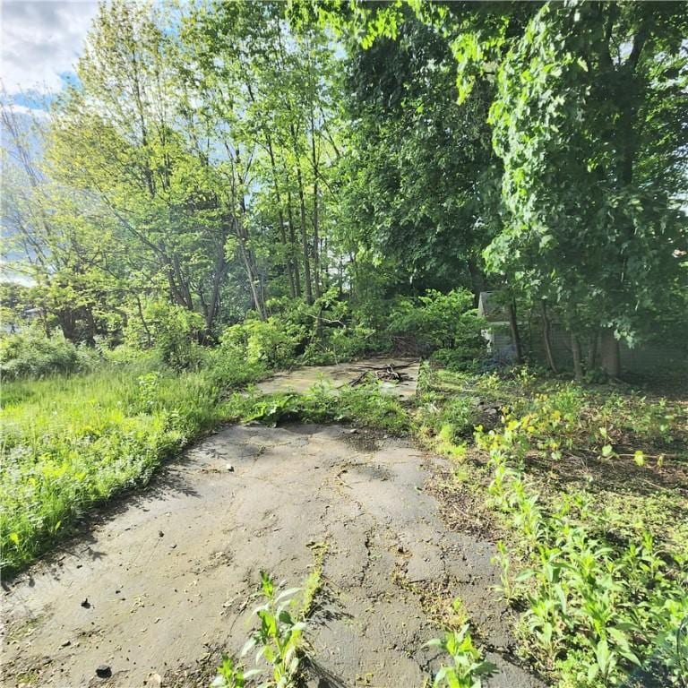 502 Partridge St, Elmira-City, NY 14904 - view of nature