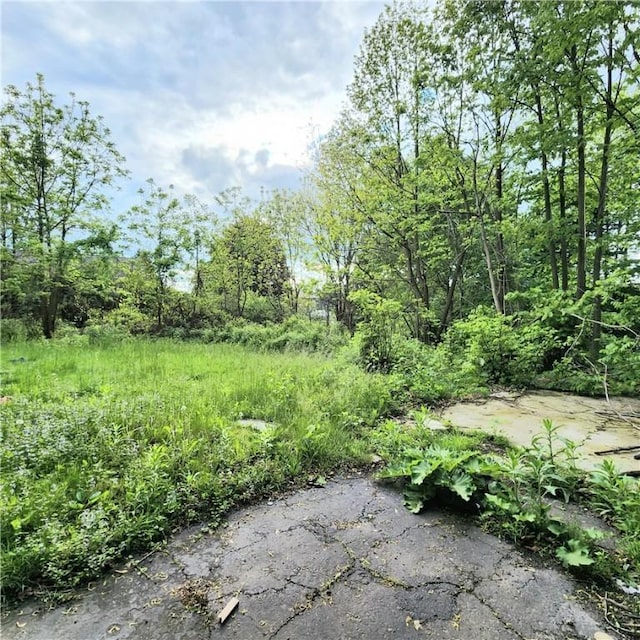 502 Partridge St, Elmira-City, NY 14904 - view of yard