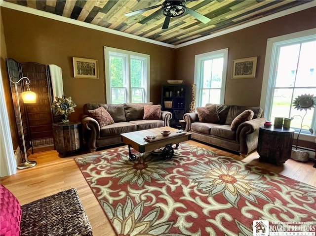 28 N Washington St, Randolph, NY 14772 - living room featuring wood finished floors, a ceiling fan, and ornamental molding