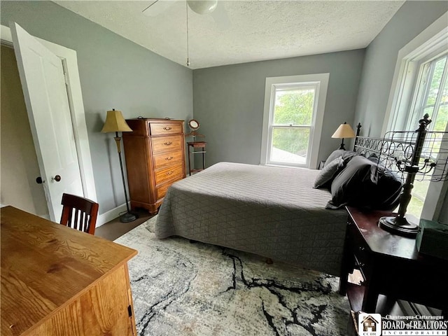 28 N Washington St, Randolph, NY 14772 - bedroom with multiple windows, a textured ceiling, and baseboards