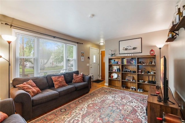 156 Rossiter Rd, Rochester, NY 14620 - living room featuring wood finished floors