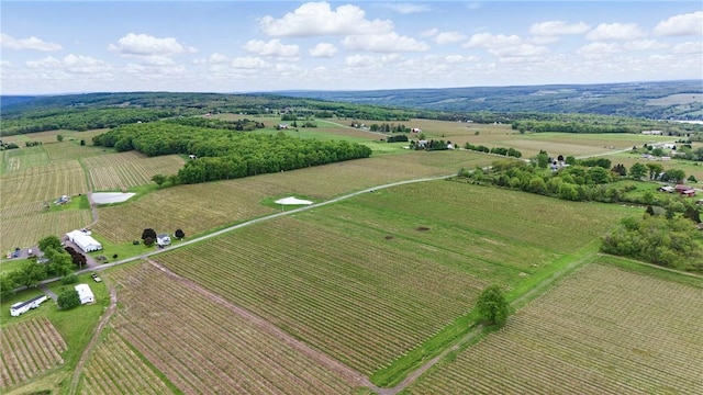 LOT1 Culver Hill Rd, Jerusalem, NY 14527