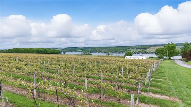 LOT1 Culver Hill Rd, Jerusalem, NY 14527