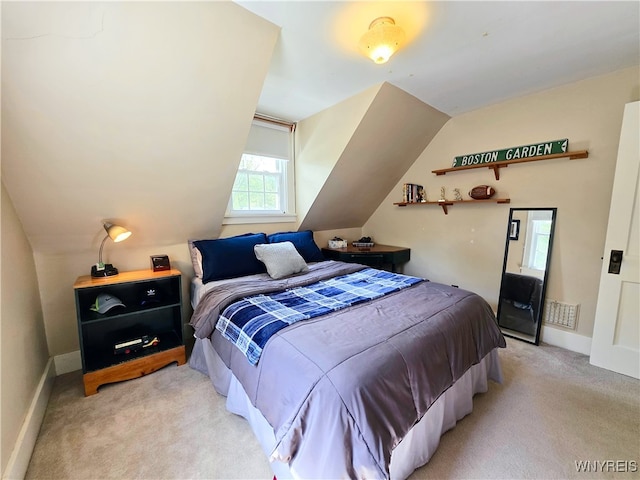 3666 S Hill Rd, Hamburg, NY 14075 - bedroom featuring light carpet, baseboards, and vaulted ceiling